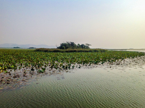 微山湖风光