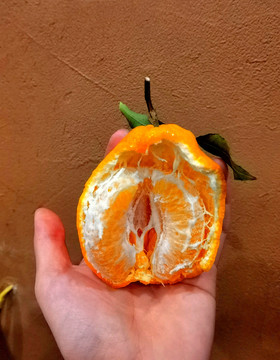 手中橘
