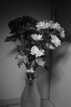 黑白花卉静物素材