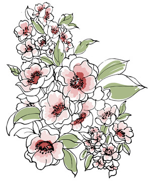 手绘白描花卉