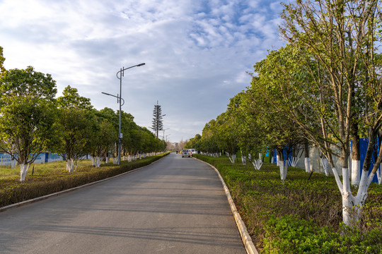 滇池湿地