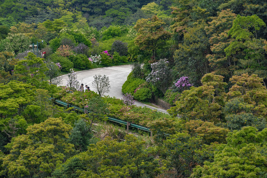 假日登山