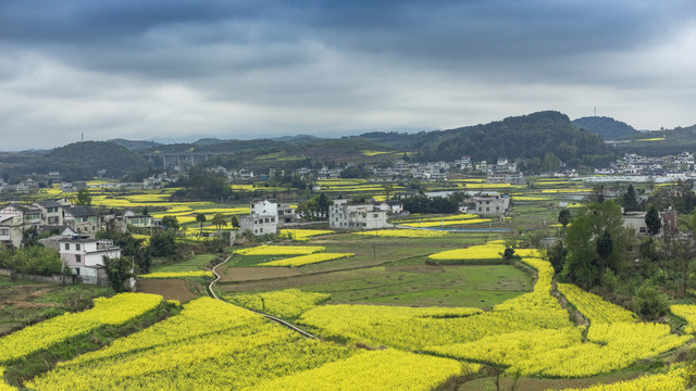 春天美丽的乡村田园