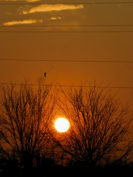 夕阳风光