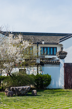 枫泾古镇