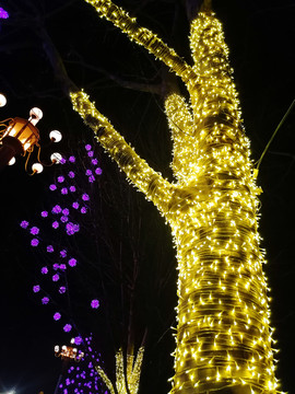 树木彩灯装饰