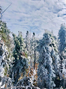 高山雪景