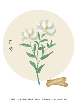 白芍