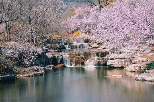 北京植物园