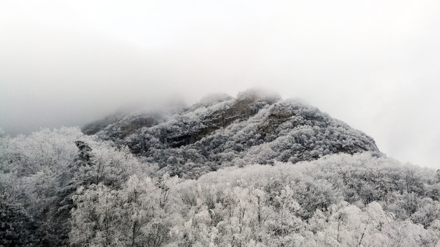 高山雾凇