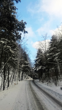 林间公路雪景