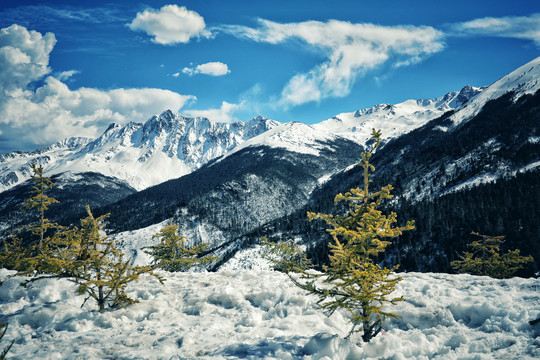 雪山