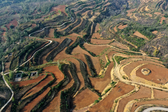 田野田园