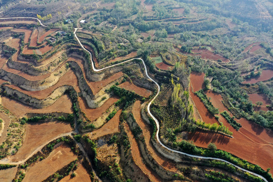 田野田园