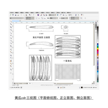 黄瓜CDR平面图立面图