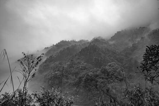 山