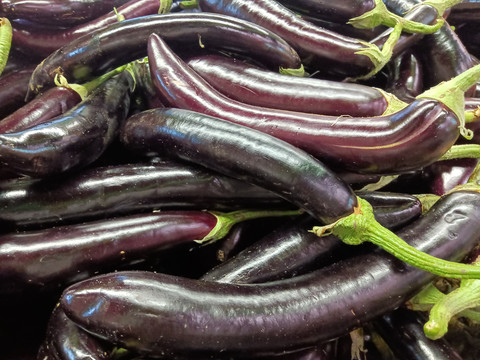 长紫皮茄子