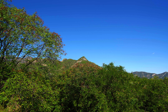 北方巨刹云居寺