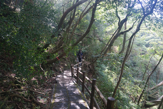 山间栈道