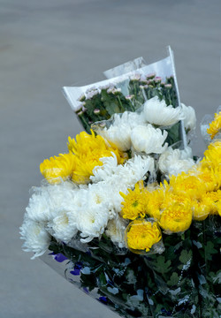 清明节祭奠用的黄白菊花