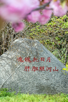 西安烈士陵园石刻