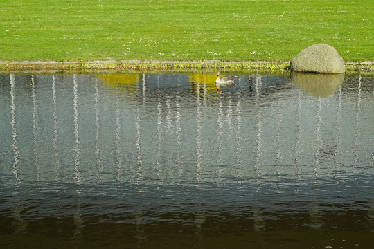 德国汉诺威展览中心池塘和大雁