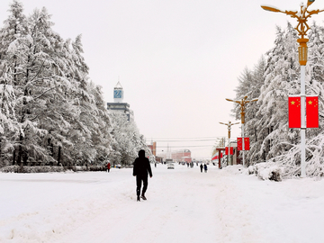 小镇春雪