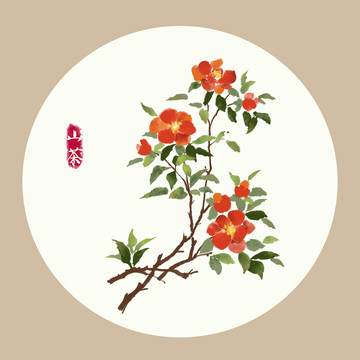 手绘山茶花