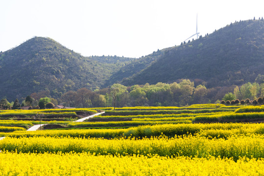 乡村公路