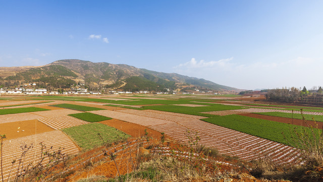 春天蓝天与田园景观