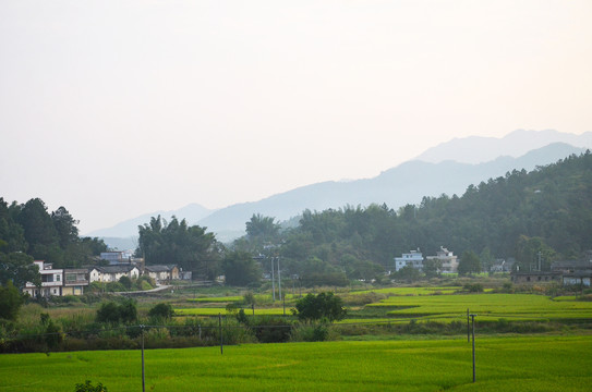 农村早晨