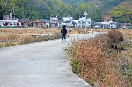 乡村道路