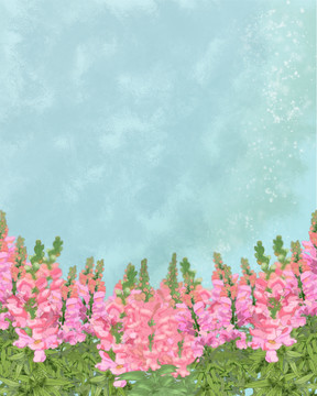 金鱼草花卉背景