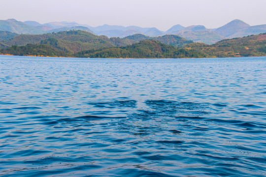 金桂湖