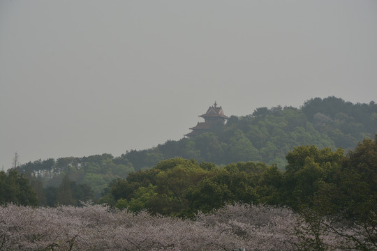 武汉东湖公园