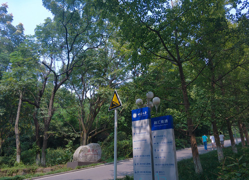 西南大学路标