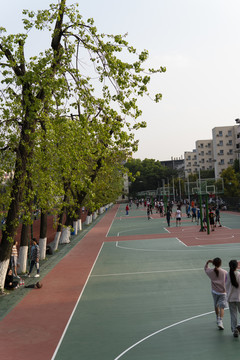 重庆交通大学