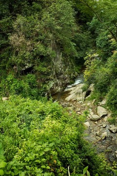 青山绿水溪涧