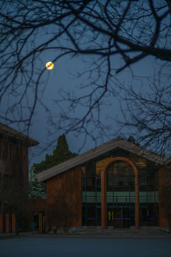 黎明透过树枝看清华大学阶梯教室