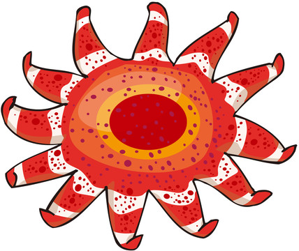 插画