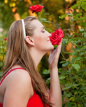 在阳光明媚的日子里，做园艺工作的女人嗅着玫瑰花