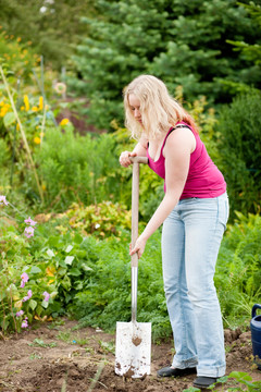 女园丁在春天用铁锹挖土，把花园准备好