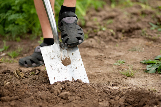 园丁-只有脚可以看到-挖掘土壤在春天用铁锹使花园准备好