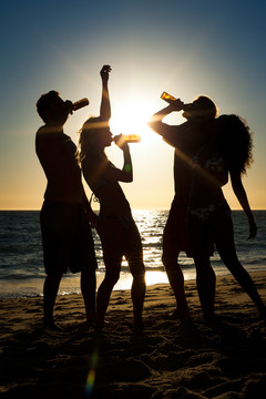 海滩上的人们（两对情侣）举行聚会，在夕阳下喝酒，玩得很开心（只能看到人们的侧影，人们手里拿着瓶子，阳