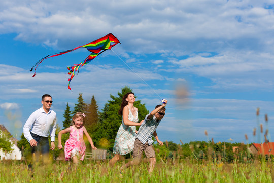 快乐的家庭-母亲，父亲，孩子们-在夏天在绿色的草地上奔跑