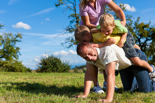 一个快乐的家庭，两个小男孩在夏天的草地上玩耍