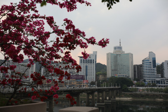 延平城市风光