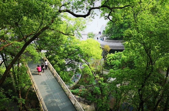 九峰山空中栈道