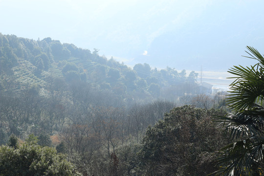 山坳里的冬景