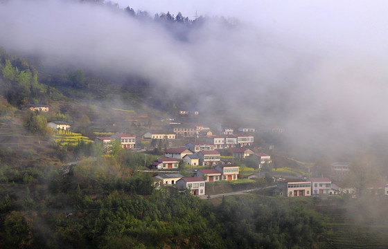 汇湾风光